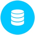 custom software development