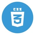 custom software development